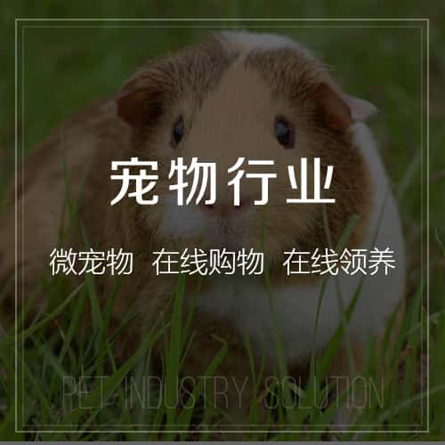 七台河宠物